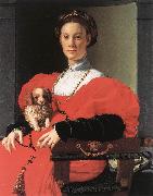Portrait of a Lady with a Puppy f BRONZINO, Agnolo